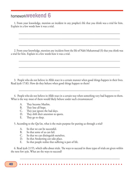 Islamic Studies Level 8 (Beginners Ed)